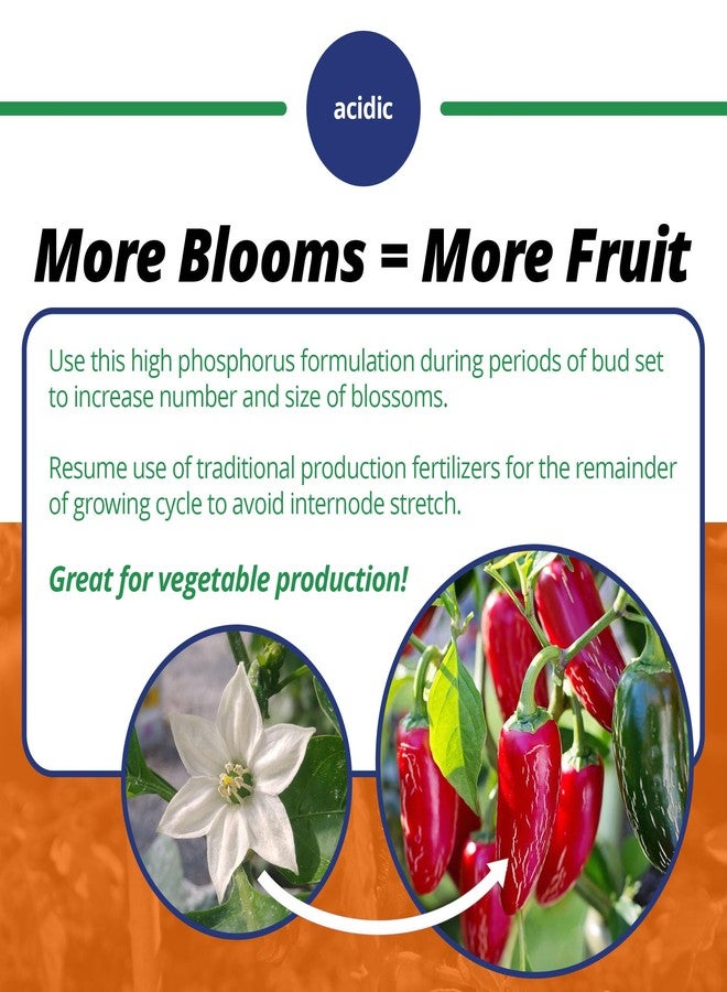 Jacks Classic Jack's Classic 10-30-20 Blossom Booster Water-Soluble Fertilizer with Micronutrients for Increasing Color and Quantity of Blooms in Flowering Plants, 8oz - Image 4